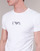 textil Herr T-shirts Emporio Armani CC715-PACK DE 2 Vit