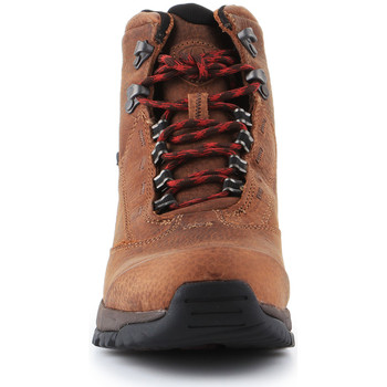 Ariat Trekking shoes  Berwick Lace Gtx Insulated 10016229 Brun
