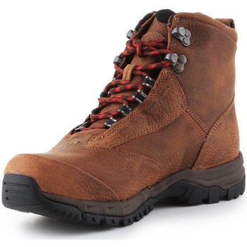 Ariat Trekking shoes  Berwick Lace Gtx Insulated 10016229 Brun