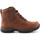 Skor Dam Vandringskängor Ariat Trekking shoes  Berwick Lace Gtx Insulated 10016229 Brun