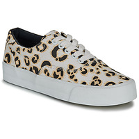 Skor Dam Sneakers Superdry CLASSIC LACE UP TRAINER Leopard