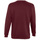 textil Sweatshirts Sols NEW SUPREME COLORS DAY Violett