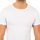 textil Herr T-shirts Abanderado 0806-BLANCO Vit