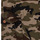 textil Pojkar Shorts / Bermudas Quiksilver CRUCIAL BATTLE Kamouflage