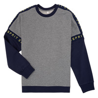 textil Flickor Sweatshirts Esprit ELISEE Grå