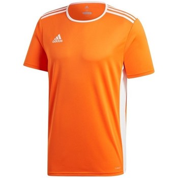 textil Herr T-shirts adidas Originals Entrada 18 Orange