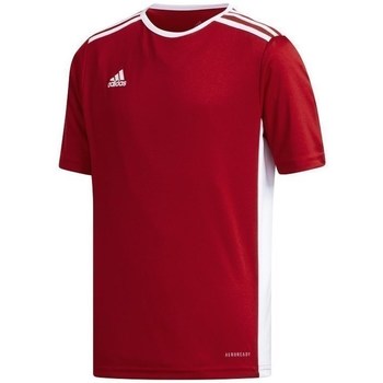 textil Pojkar T-shirts adidas Originals JR Entrada 18 Röd