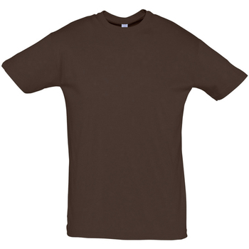 textil Herr T-shirts Sols REGENT COLORS MEN Brun