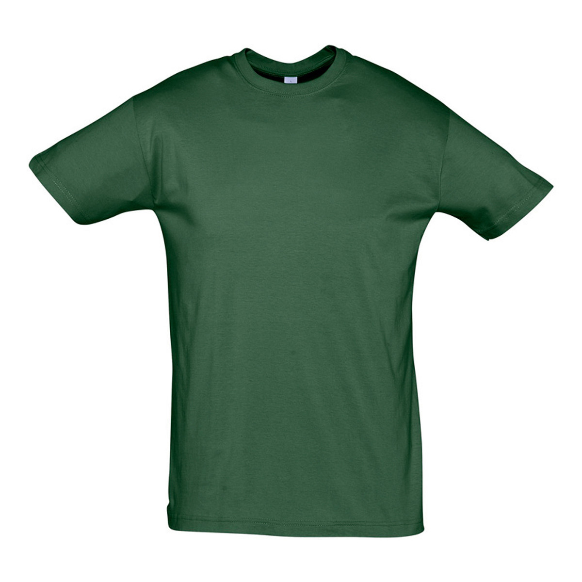 textil T-shirts Sols REGENT COLORS MEN Grön