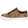 Skor Dam Sneakers Timberland SKYLA BAY LEATHER OXFORD Leopard