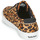 Skor Dam Sneakers Timberland SKYLA BAY LEATHER OXFORD Leopard