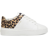 Skor Dam Sneakers Ed Hardy Wild low top white leopard Vit