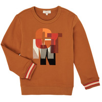 textil Pojkar Sweatshirts Catimini CR15024-63-C Brun