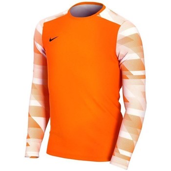 textil Pojkar T-shirts Nike JR Dry Park IV Orange