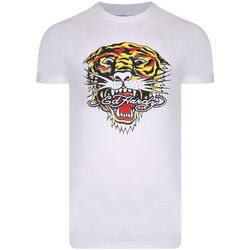 textil Herr T-shirts Ed Hardy - Mt-tiger t-shirt Vit