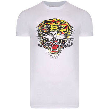 textil Herr T-shirts Ed Hardy - Mt-tiger t-shirt Vit
