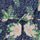 textil Flickor Uniform Roxy IN THE MOUNTAIN Flerfärgad