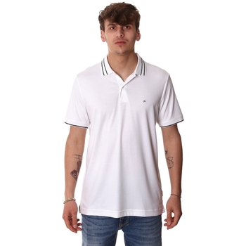 textil Herr T-shirts & Pikétröjor Calvin Klein Jeans K10K105183 Vit