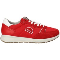 Skor Herr Sneakers IgI&CO 1120344 Röd