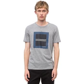 textil Herr T-shirts & Pikétröjor Calvin Klein Jeans K10K102679 Grå