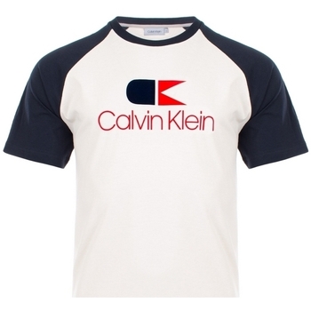 textil Herr T-shirts & Pikétröjor Calvin Klein Jeans K10K104040 Blå