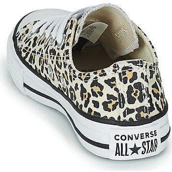 Converse CHUCK TAYLOR OX Leopard / Flerfärgad
