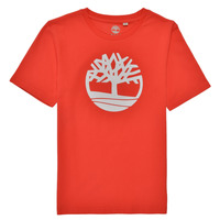 textil Pojkar T-shirts Timberland LOLLA Röd