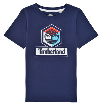 textil Pojkar T-shirts Timberland GRISS Marin