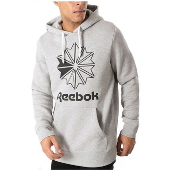 textil Herr Sweatshirts Reebok Sport Big Logo Hoodie Grå