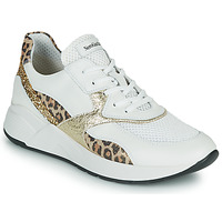 Skor Dam Sneakers NeroGiardini FIDEL Vit / Leopard