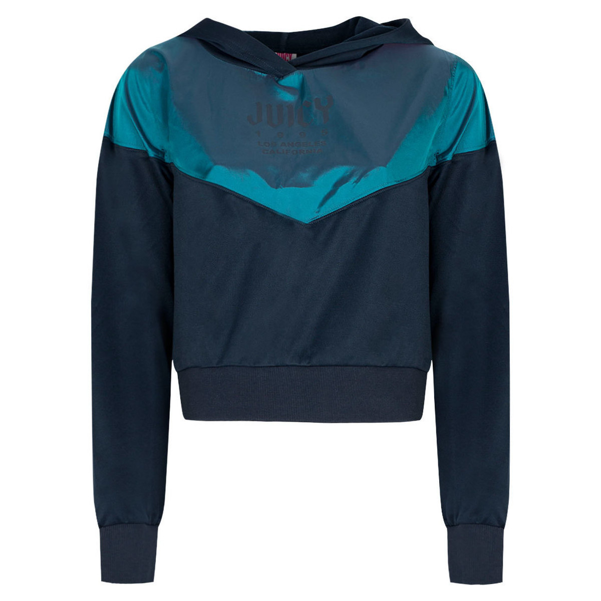 textil Dam Sweatshirts Juicy Couture JWTKT179501 | Pullover Blå
