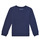 textil Pojkar Sweatshirts Desigual ROBLE Marin