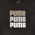 textil Flickor T-shirts Puma ALPHA TEE Svart