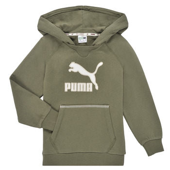 textil Pojkar Sweatshirts Puma T4C HOODIE Kaki