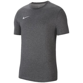 textil Herr T-shirts Nike Dri-Fit Park 20 Tee Grå