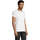 textil Herr T-shirts Sols Camiseta IMPERIAL FIT color Blanco Vit