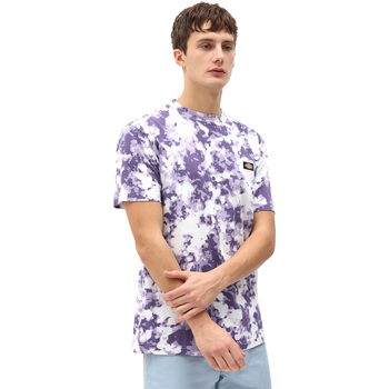 textil Herr T-shirts Dickies DK0A4X9PB651 Violett