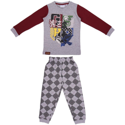 textil Barn Pyjamas/nattlinne Harry Potter 2200006346 Grå