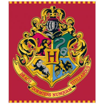 Inredning Filtar Harry Potter HP 52 48 128 Röd