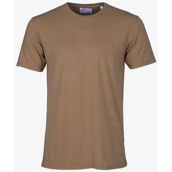 textil T-shirts Colorful Standard T-shirt  Sahara Camel Brun