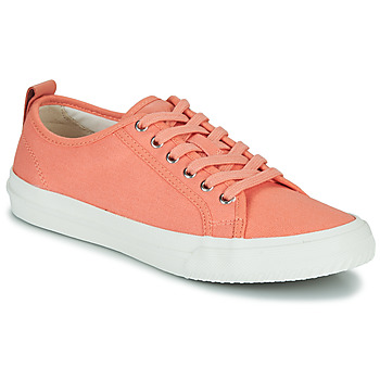 Skor Dam Sneakers Clarks Roxby Lace Rosa