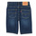 textil Pojkar Shorts / Bermudas Levi's PERFORMANCE SHORT Blå