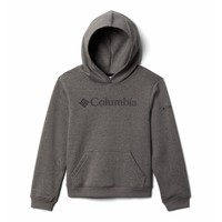 textil Pojkar Sweatshirts Columbia COLUMBIA TREK HOODIE Grå