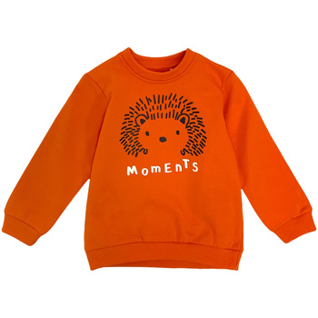 textil Barn Sweatshirts Losan 127-6650AL Orange