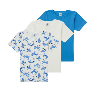 textil Pojkar T-shirts Petit Bateau ADRIAN Flerfärgad