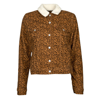 textil Dam Jeansjackor Levi's WT-TRUCKER-SHERPA Leopard / Ginger