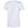 textil Dam T-shirts Champion Crewneck Tshirt Vit