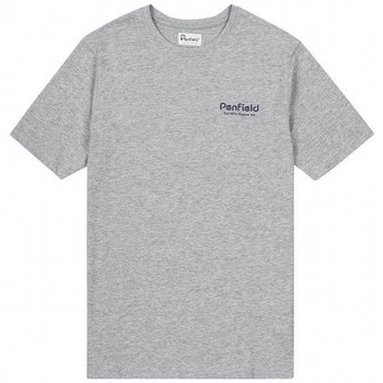 textil Herr T-shirts Penfield T-shirt  Hudson Script Grå