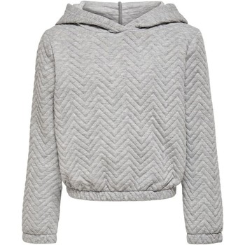 textil Flickor Sweatshirts Kids Only SUDADERA GRIS NIA  15235549 Grå
