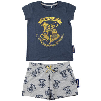 textil Flickor Pyjamas/nattlinne Harry Potter 2200007021 Blå
